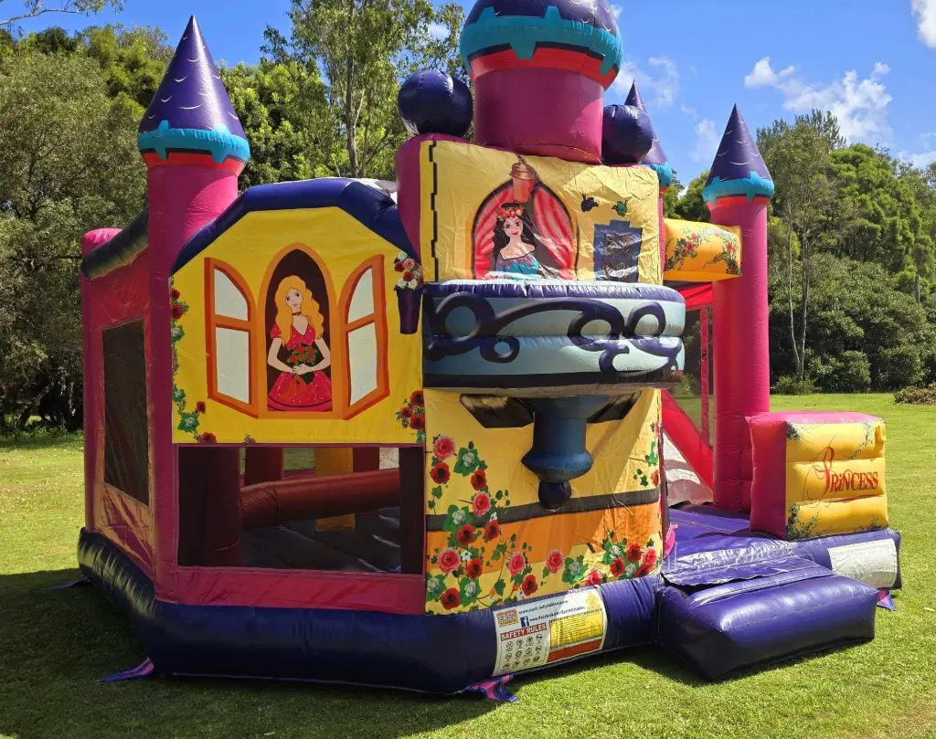 Jumping castle A-Leaps Disney princess Jumping Castle set-up in winter