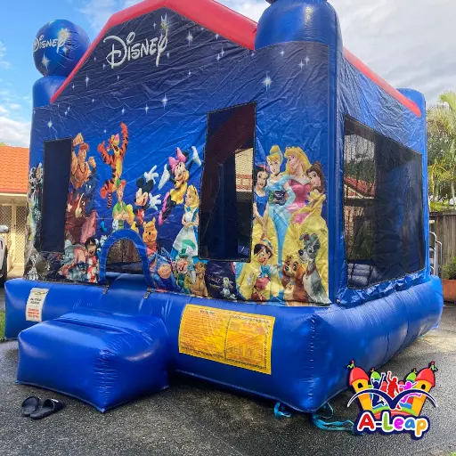 Disney bouncer all setup and ready for the party