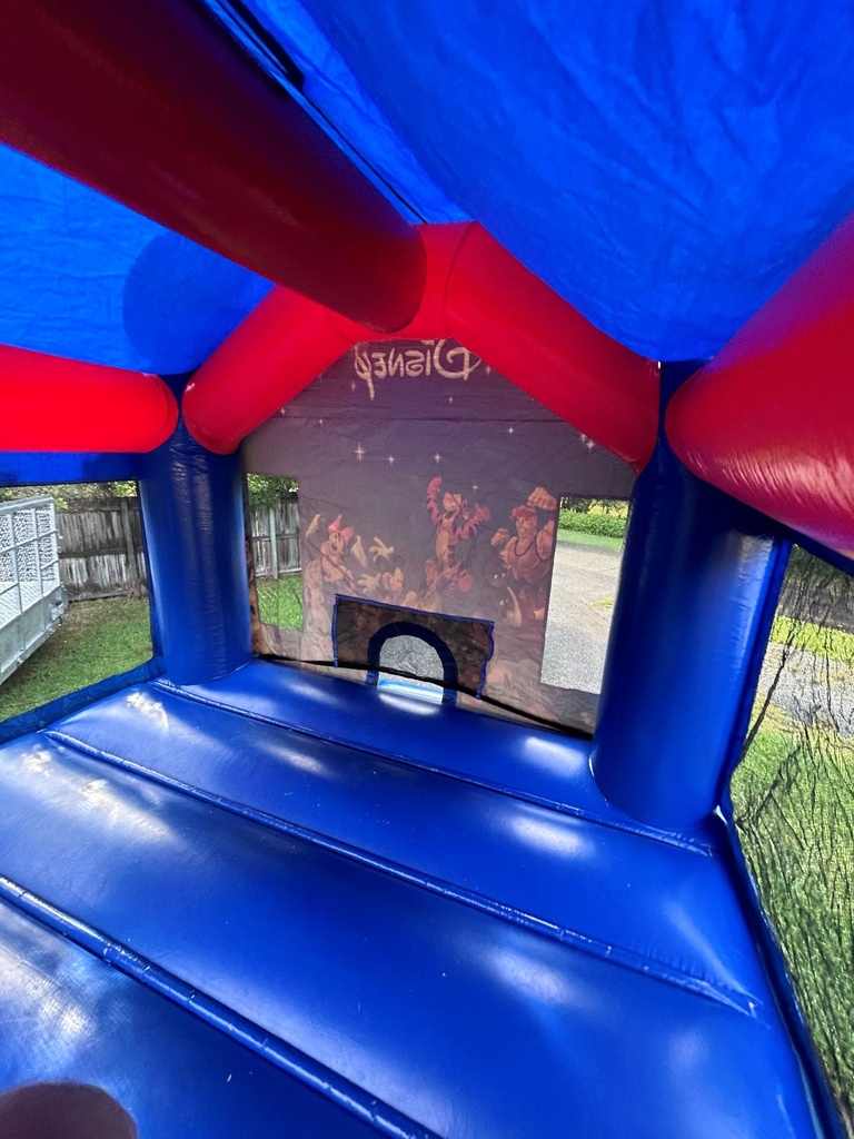 Inside of Disney Princess Jumping Castle