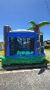 Tropical Bouncer